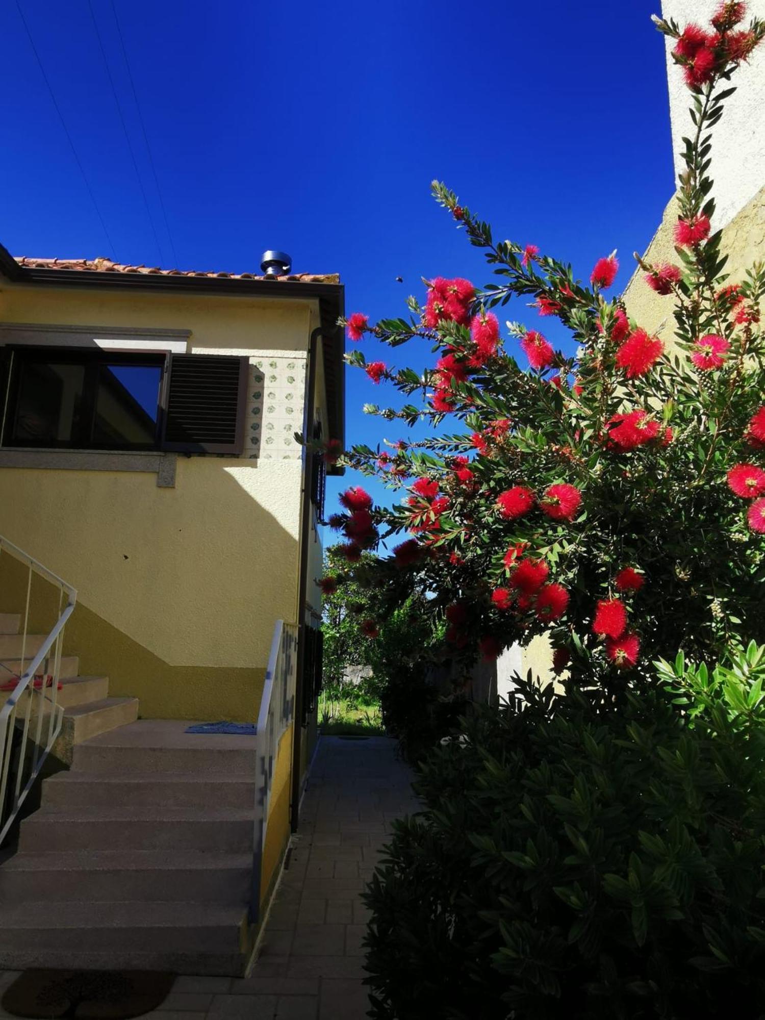 Casa Sao Pedro Belinho Only Pilgrims B&B 외부 사진